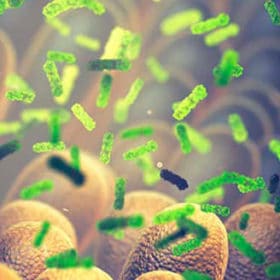 Protégez votre immunité en prenant soin de votre microbiote