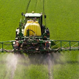 Métaux lourds et Mycothérapie : une nécessaire attention