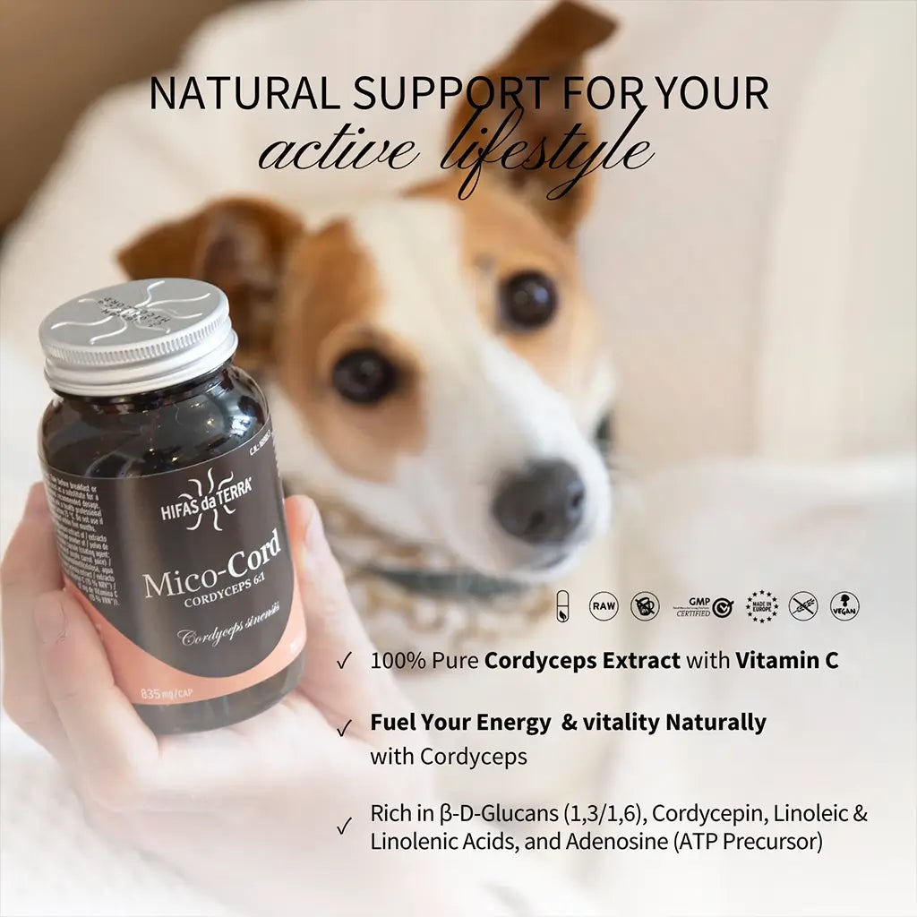 Mico-Cord - Extrait pur de Cordyceps
