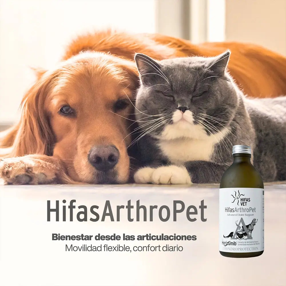 Hifas Arthro Pet