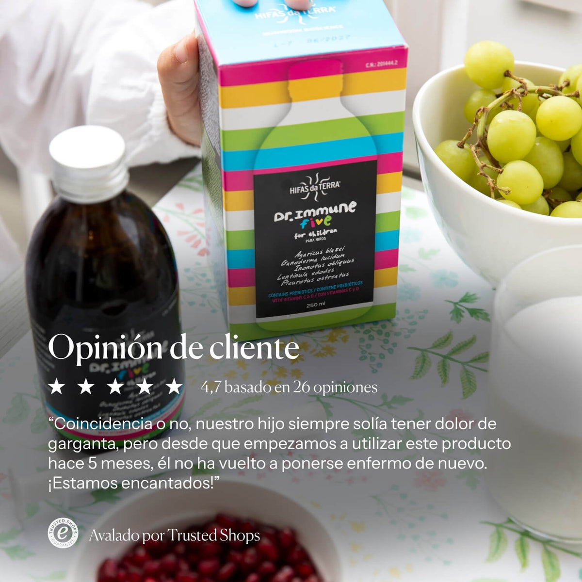Información nutricional de Dr. Immune Five | Hifas da Terra