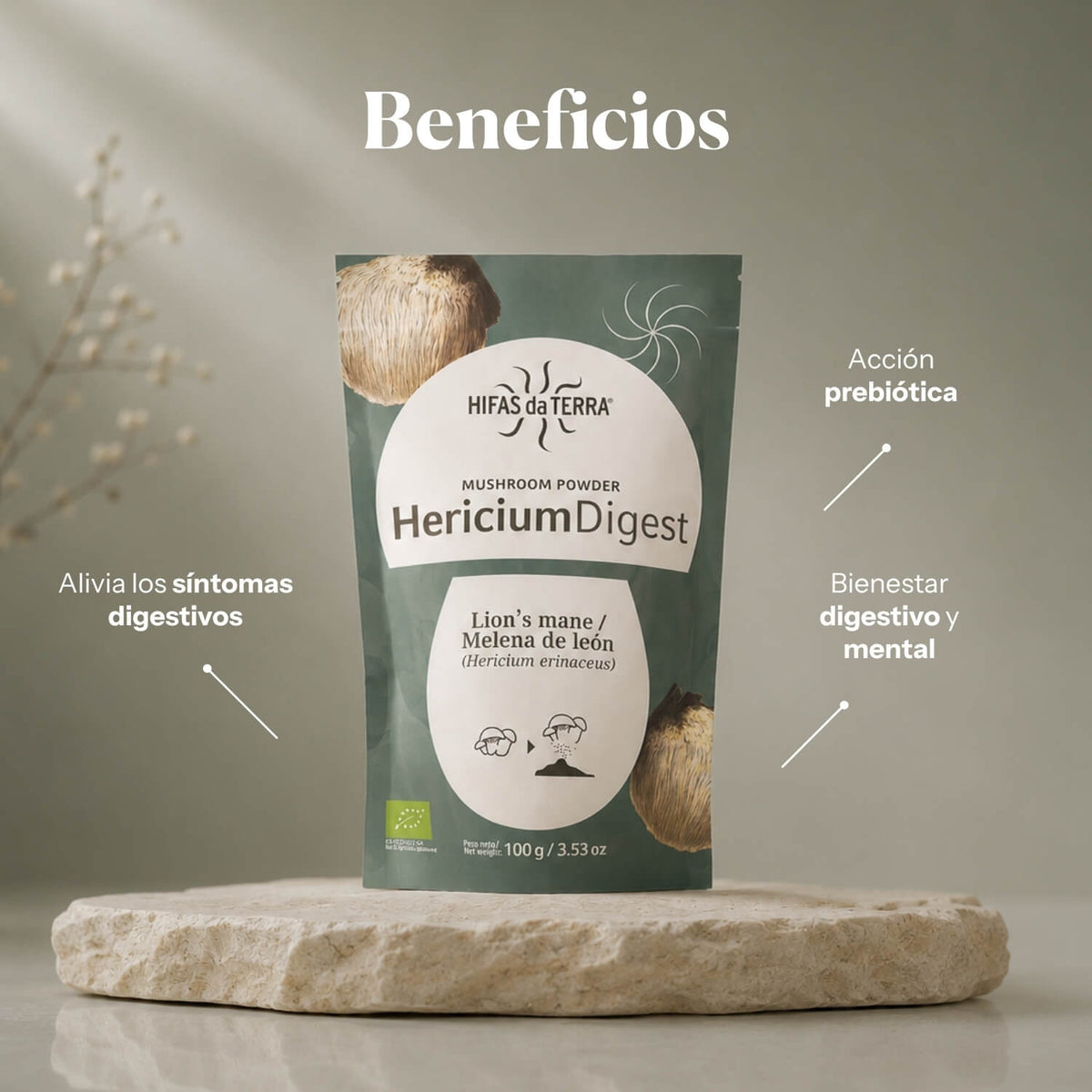 Beneficios de Hericium Digest: polvo ecológico 100% Melena de león | Hifas da Terra