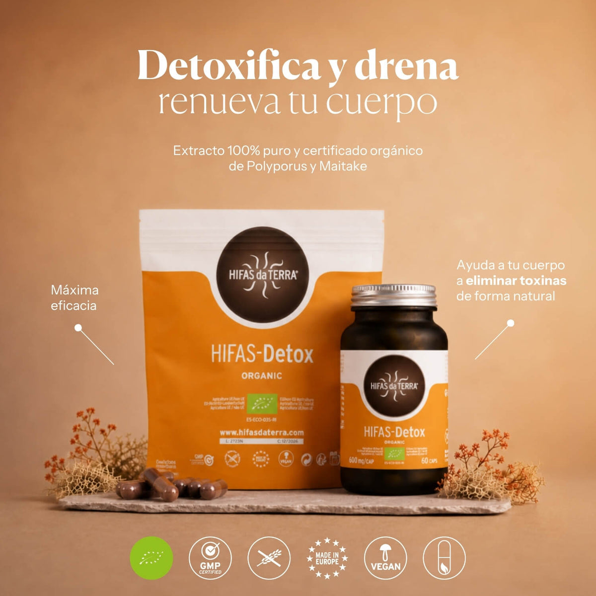 Anwendung von Hifas-Detox | Hifas da Terra