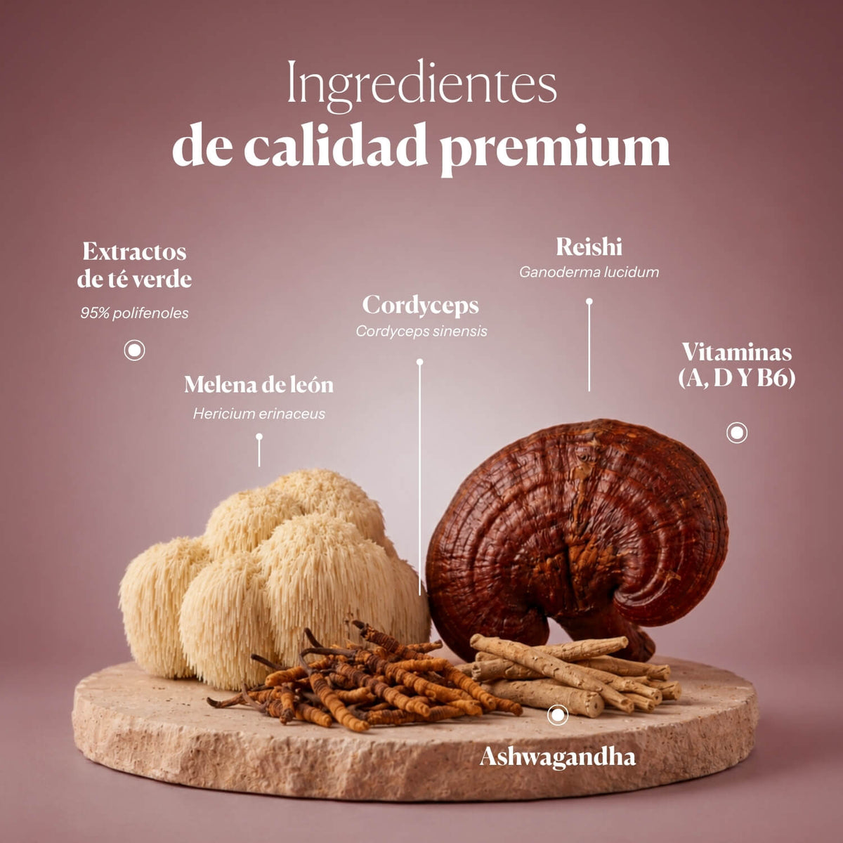 Composición e ingredientes de Hifas-Menopause | Hifas da Terra