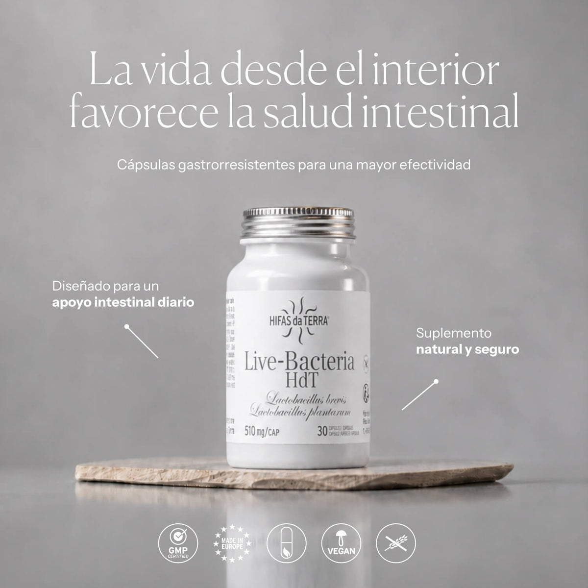 Anwendung von Probióticos en cápsulas | Hifas da Terra