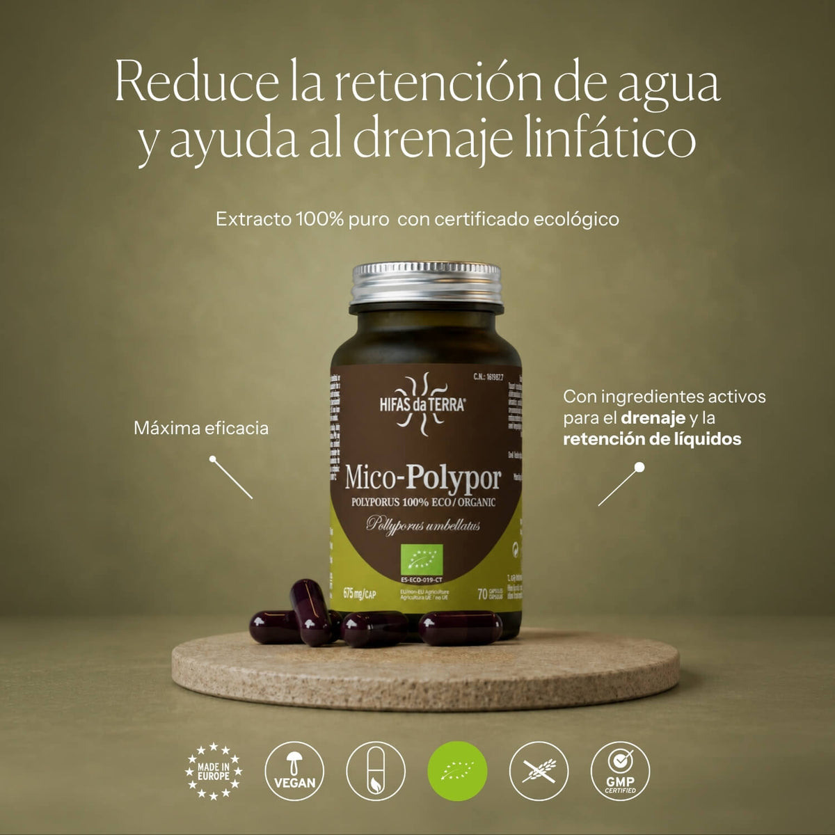 How to use Mico-Polypor | Hifas da Terra