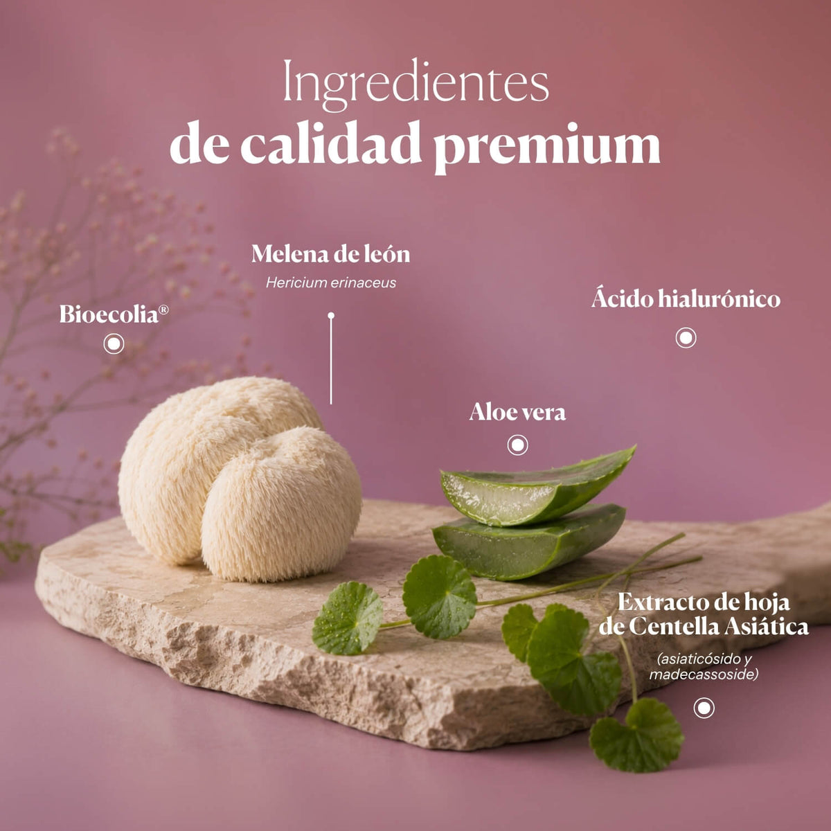 Composición e ingredientes de Hifas-INTIMA GEL | Hifas da Terra