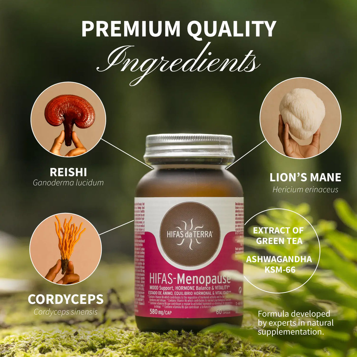 Hifas-Ménopause - Ménopause et périménopause