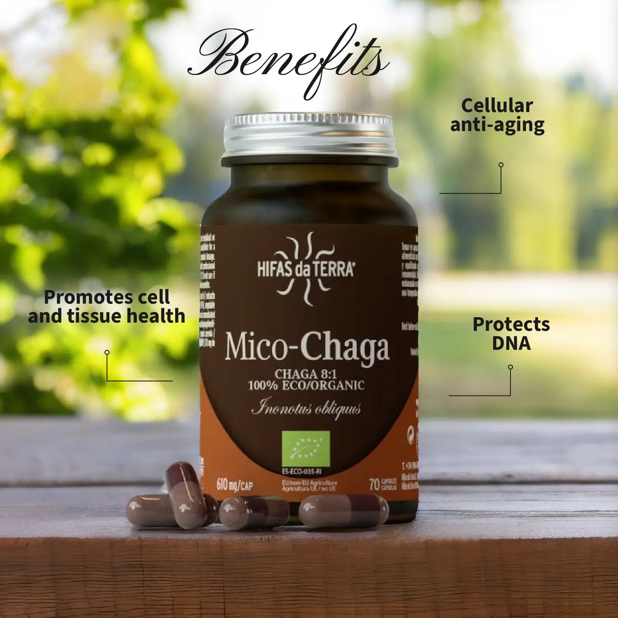 Mico-Chaga - Extrait pur & bio de Chaga