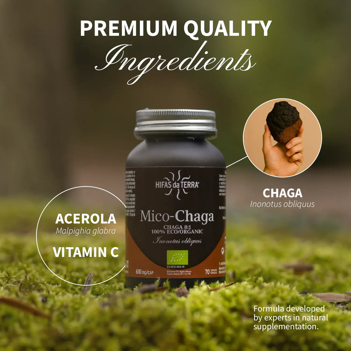 Mico-Chaga - Extrait pur & bio de Chaga