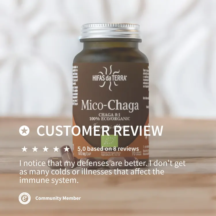 Mico-Chaga - Extrait pur & bio de Chaga
