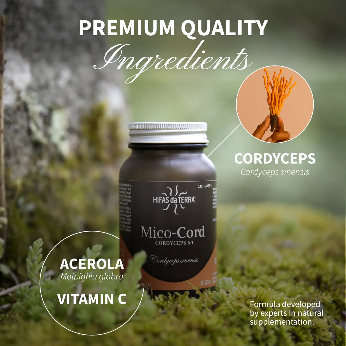 Mico-Cord - Extrait pur de Cordyceps