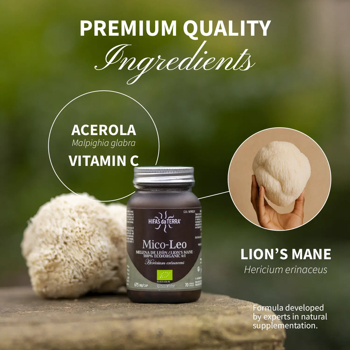 Mico-Leo - Extrait pur & bio de Crinière de Lion