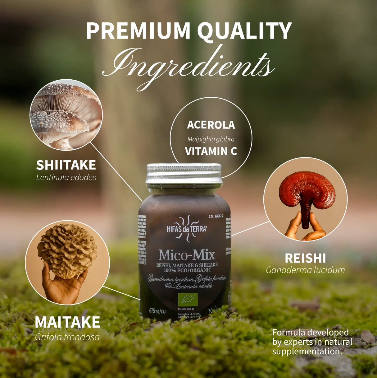 Mico-Mix - Extraits purs de Reishi, Shiitake et Maitake