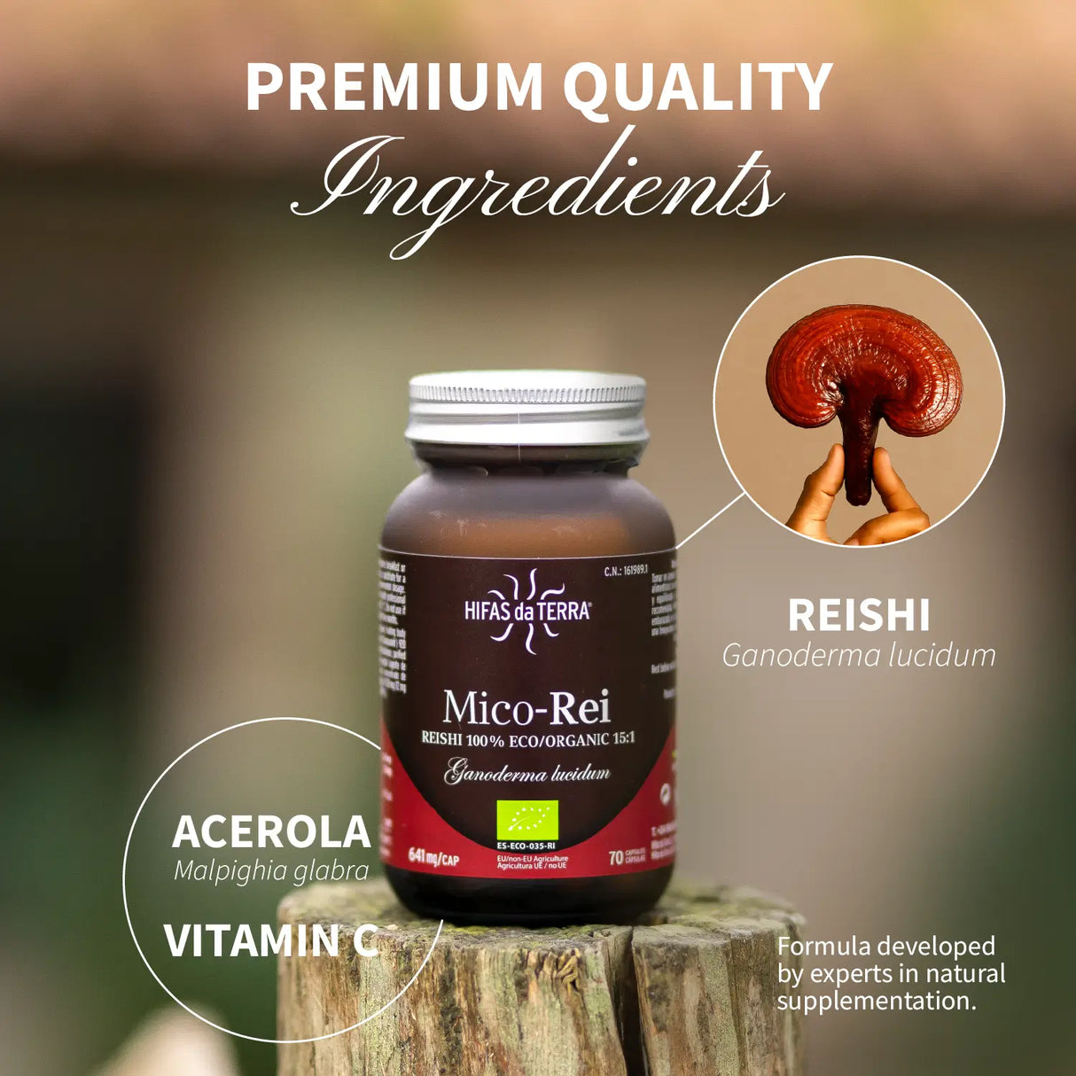 Mico-Rei - Extrait pur & bio de Reishi