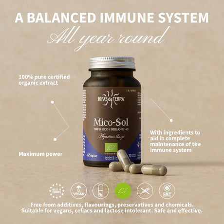 Mico-Sol - Extrait de Champignon du Soleil