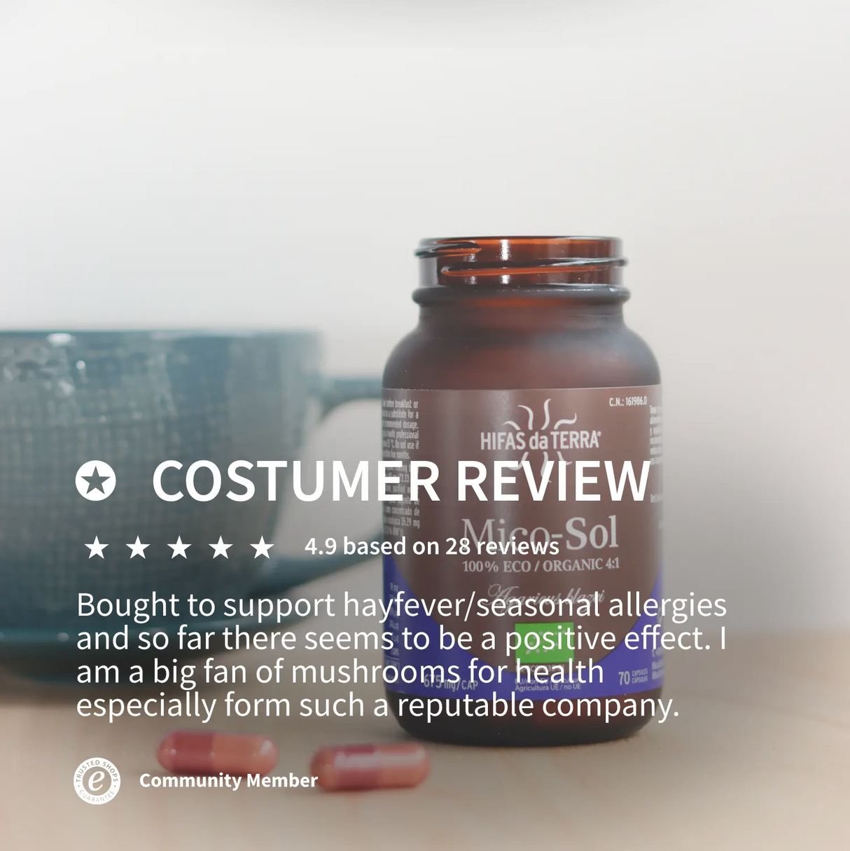 Mico-Sol - Extrait de Champignon du Soleil