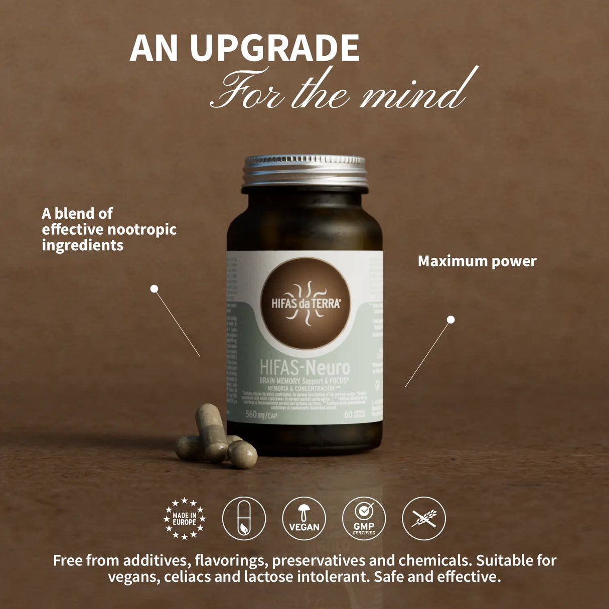 Hifas-Neuro - Mémoire et Concentration
