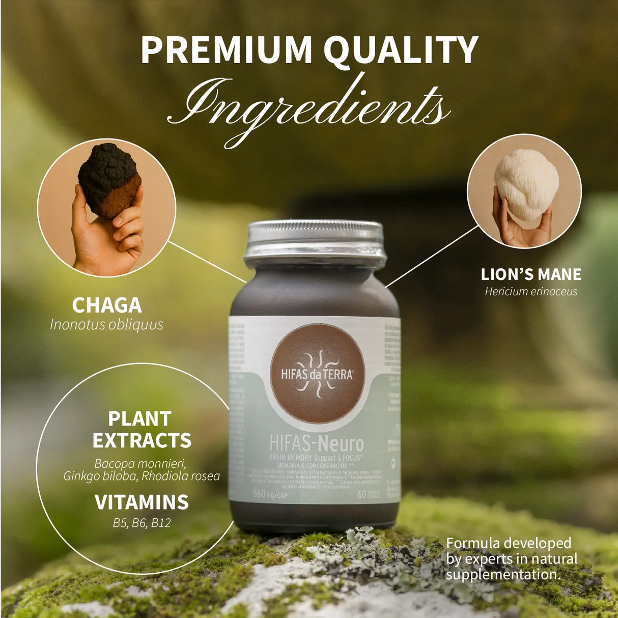 Hifas-Neuro - Mémoire et Concentration