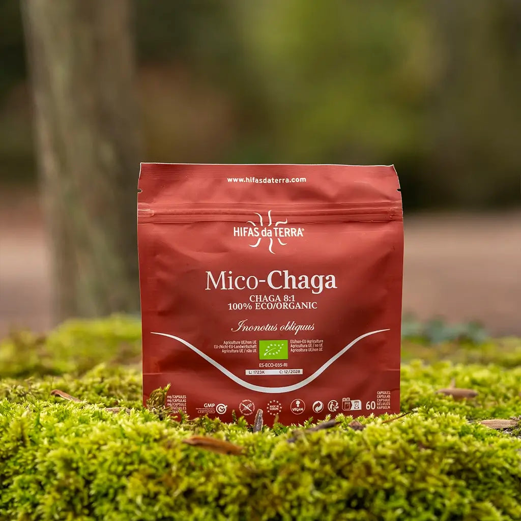 Mico Chaga (Chaga Extract) Capsules