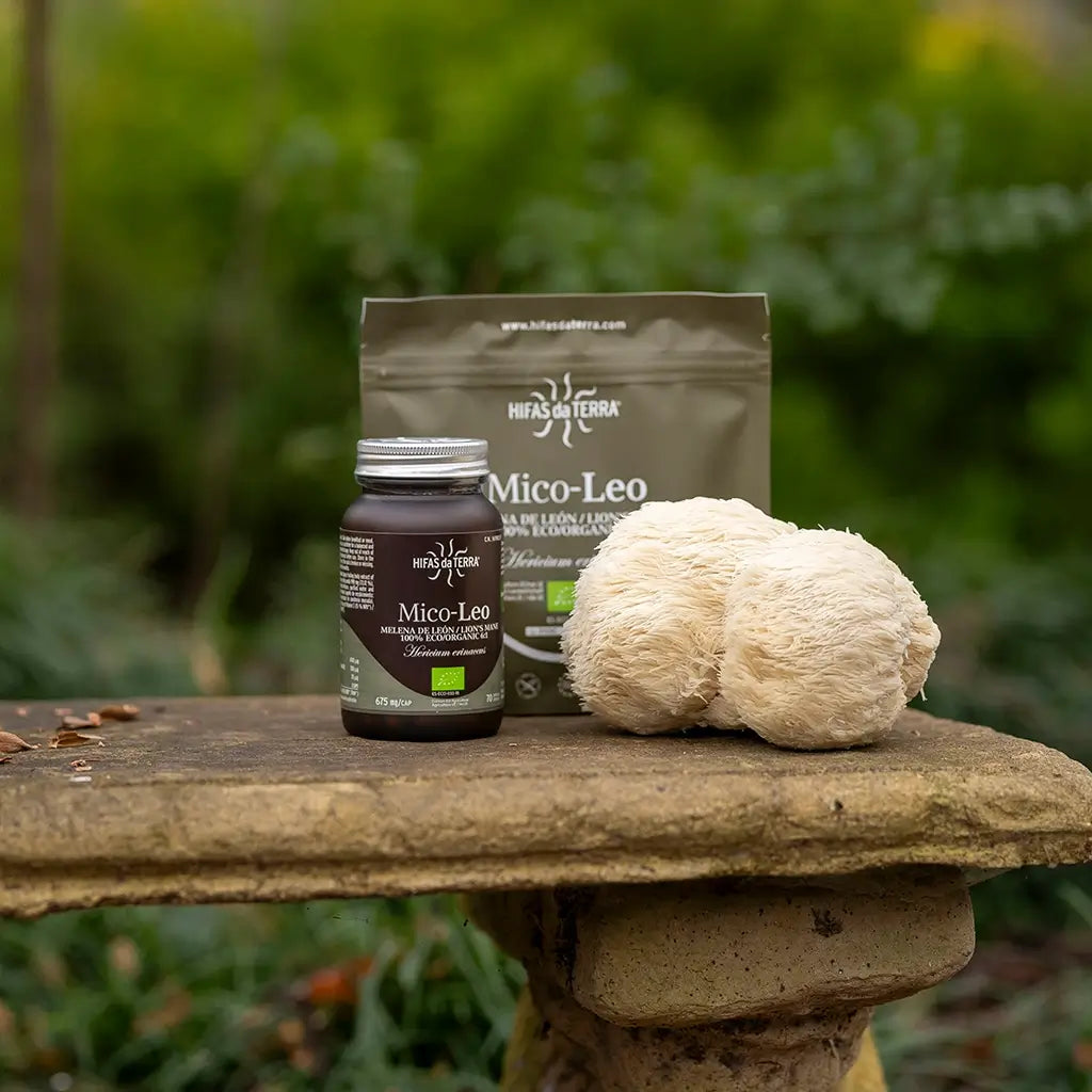 Mico-Leo - Extrait pur & bio de Crinière de Lion