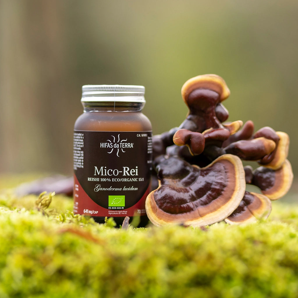 Mico-Rei - Extrait pur & bio de Reishi