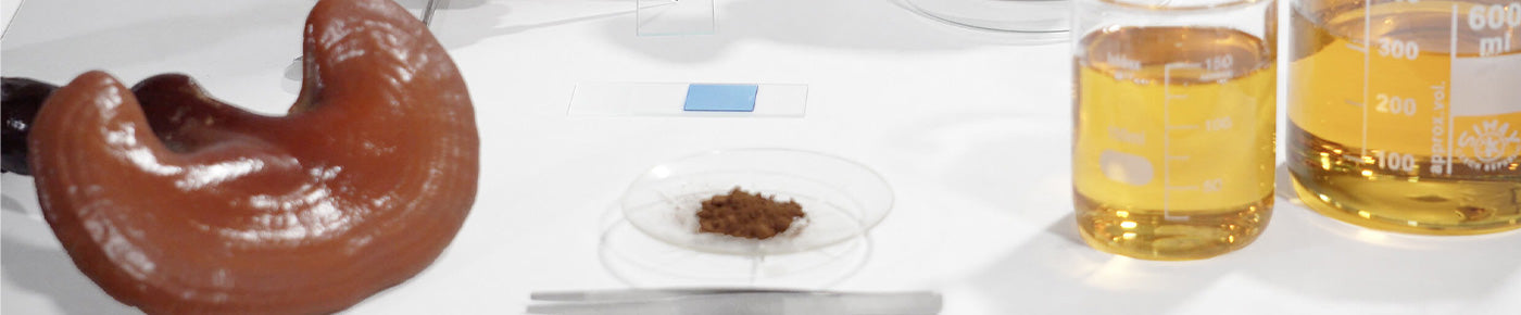 Qué es la ratio de extracción de un suplemento