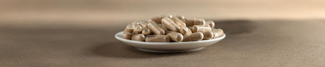 Espectro Completo, Biomasa, Doble Extracción ▷ Entendiendo el léxico de los suplementos