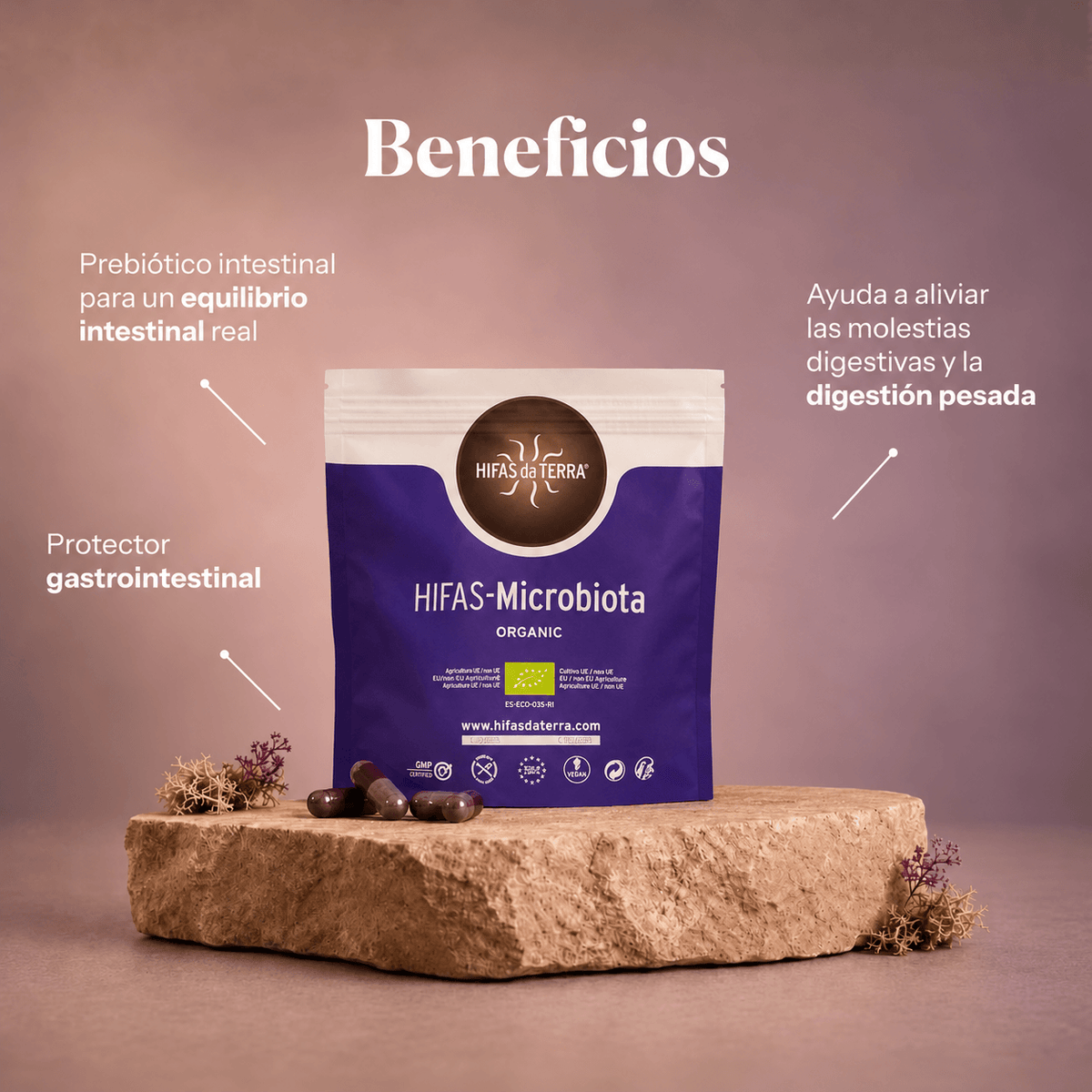 DUO ÉQUILIBRE : Equilibrium + Microbiota