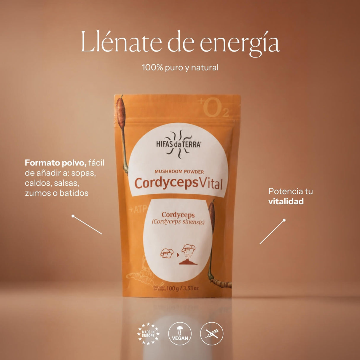 Cordyceps Vital 100% Poudre de Cordyceps