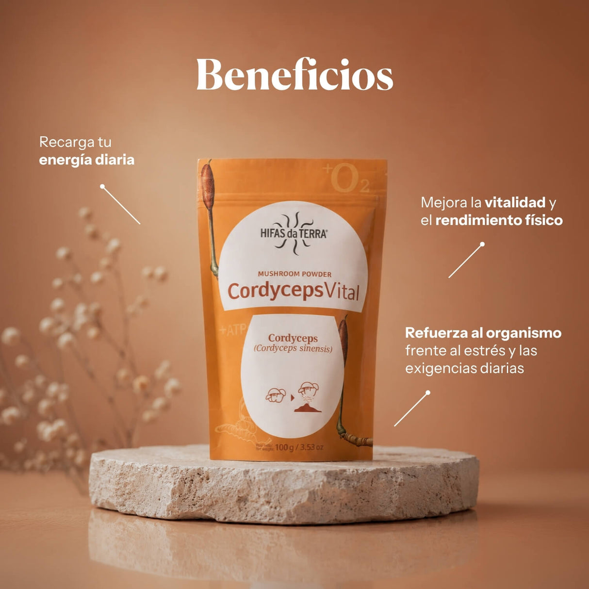 Cordyceps Vital 100% Poudre de Cordyceps