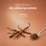 Cordyceps Vital 100% Poudre de Cordyceps