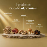 Composición e ingredientes de Dr. Immune Five | Hifas da Terra