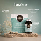 Hifas-Neuro - Mémoire et Concentration