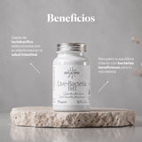 Vorteile von Probióticos en cápsulas: Lactobacillus brevis und L. plantarum für die Darmflora | Hifas da Terra