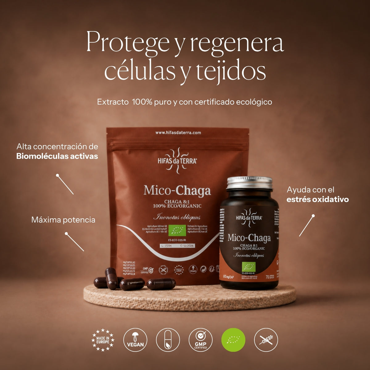 Mode d'emploi de Mico-Chaga | Hifas da Terra
