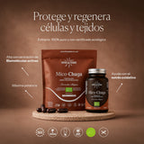 Mode d'emploi de Mico-Chaga | Hifas da Terra