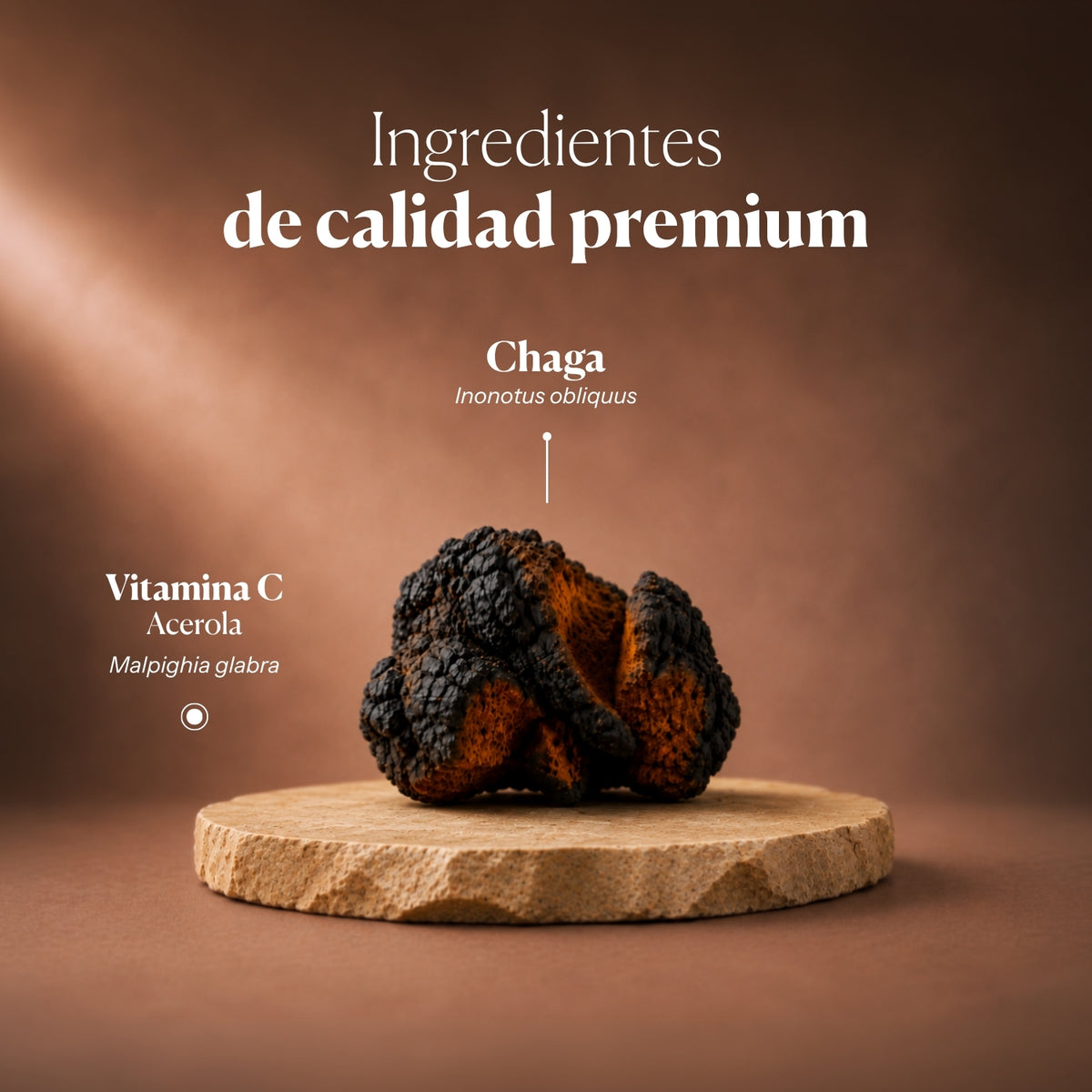 Composición e ingredientes de Mico-Chaga | Hifas da Terra