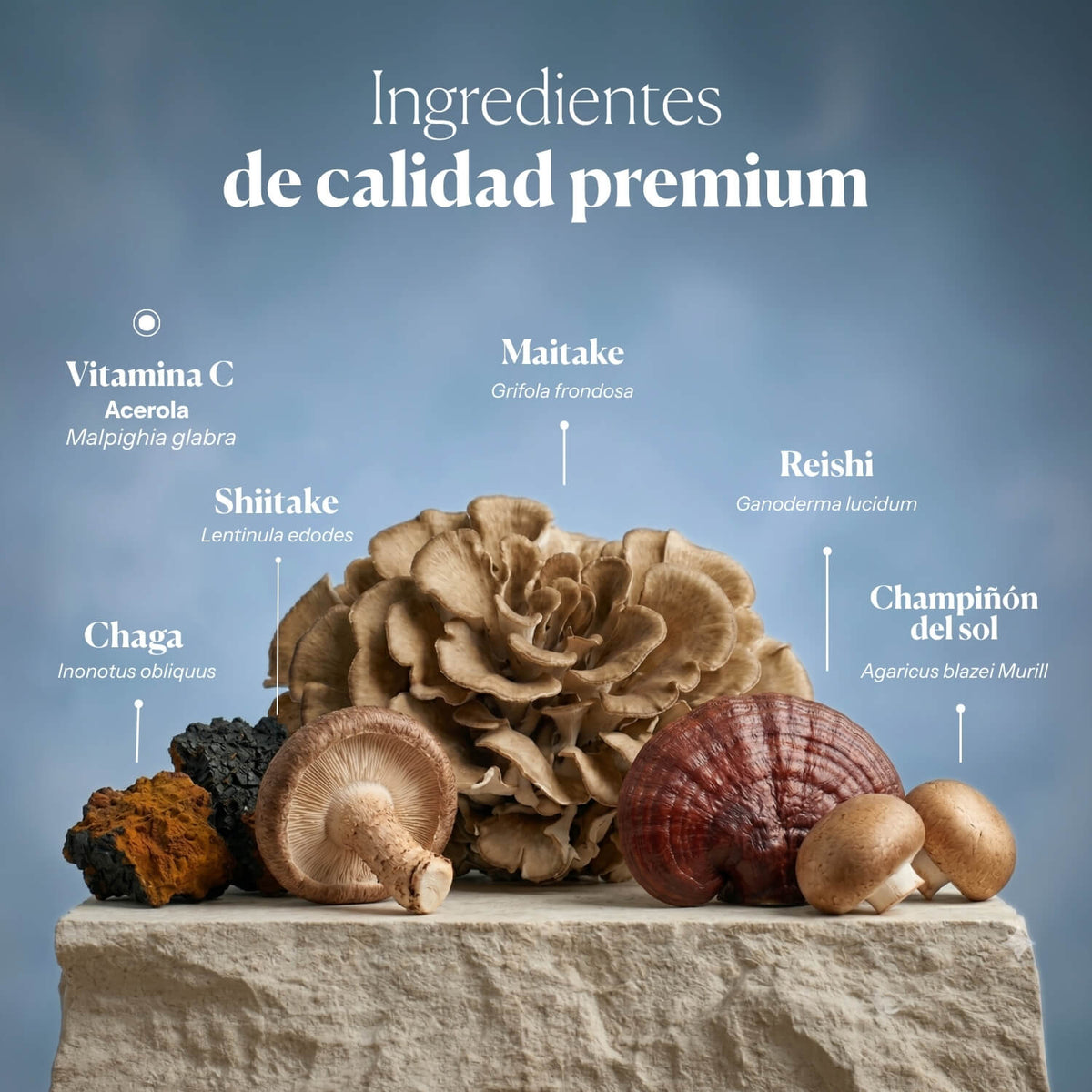 Mico-Five  - Extraits purs de Reishi, Shiitake, Maitake, Champignon du Soleil et Chaga