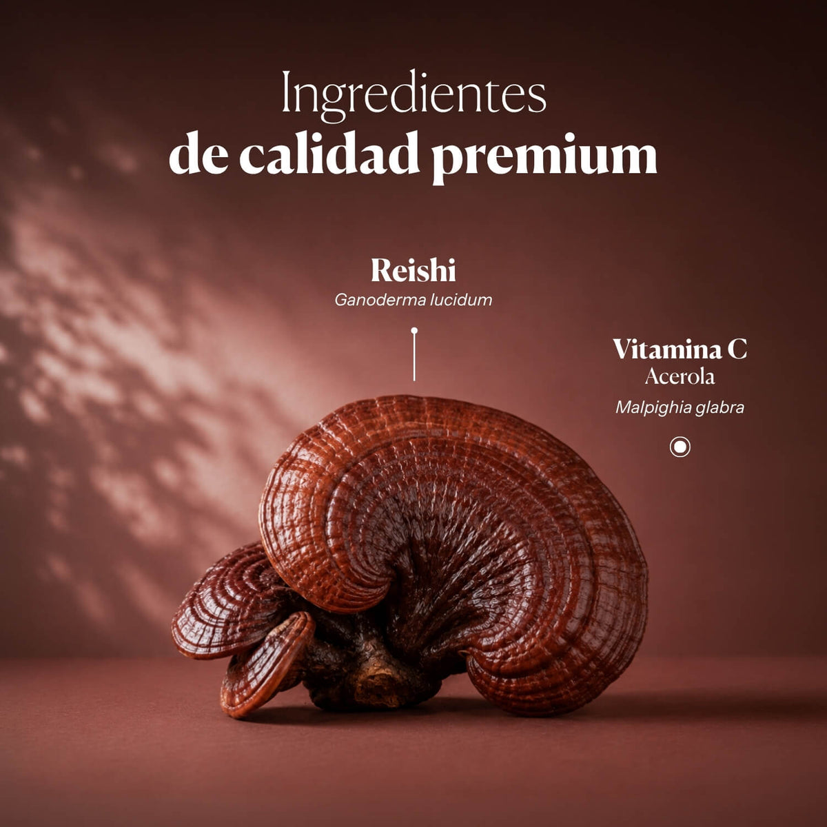 Mico-Rei - Extrait pur & bio de Reishi
