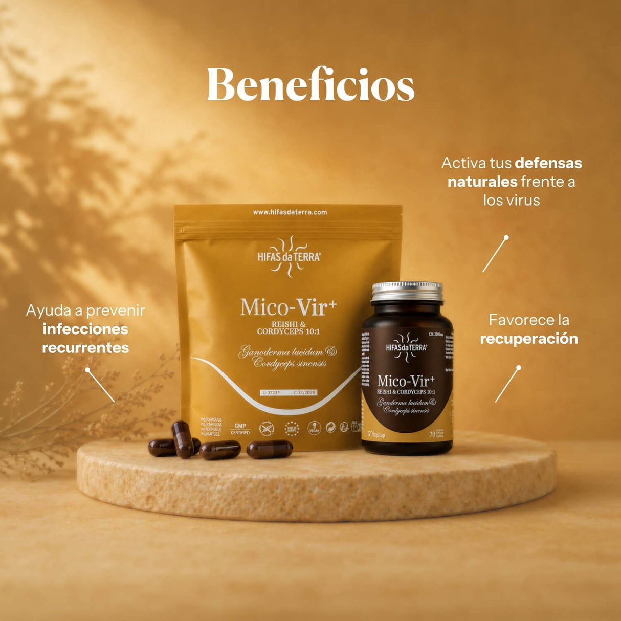 Beneficios de Mico-Vir+: extractos puros de Reishi y Cordyceps para las defensas | Hifas da Terra