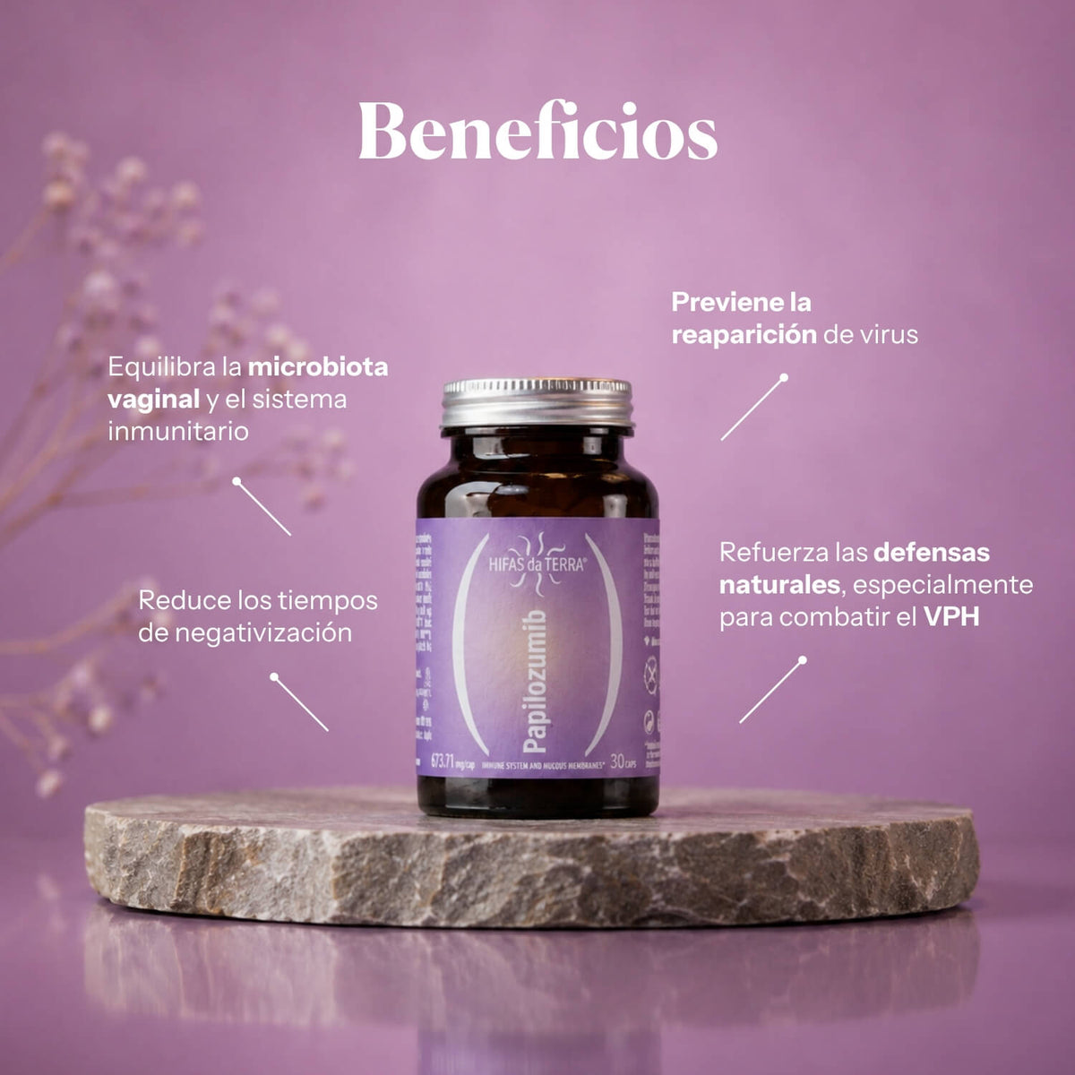 Vorteile von Papilozumib: Nahrungsergänzungsmittel mit Reishi, Cordyceps und Löwenmähne | Hifas da Terra