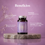 Vorteile von Papilozumib: Nahrungsergänzungsmittel mit Reishi, Cordyceps und Löwenmähne | Hifas da Terra