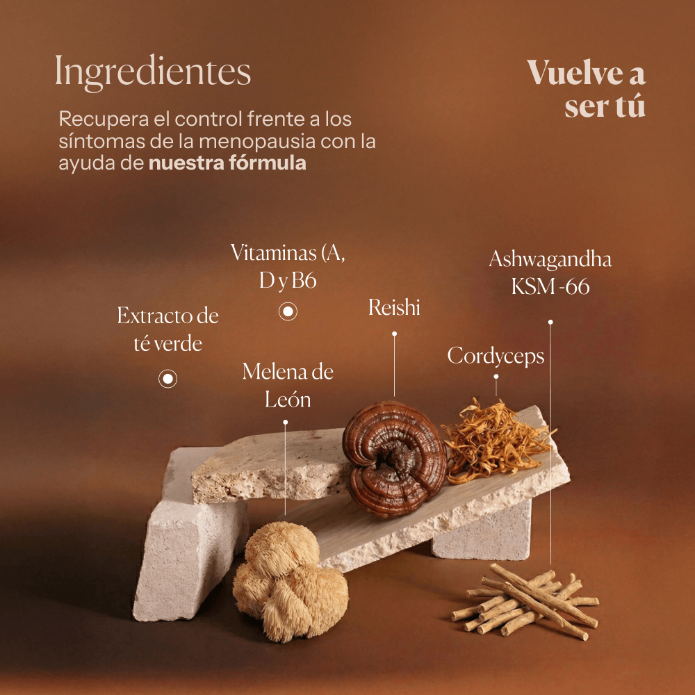 Hifas-Menopause (Reishi, Cordyceps, Lion's Mane, Ashwaghandha KSM 66 and Green Tea extract) capsules