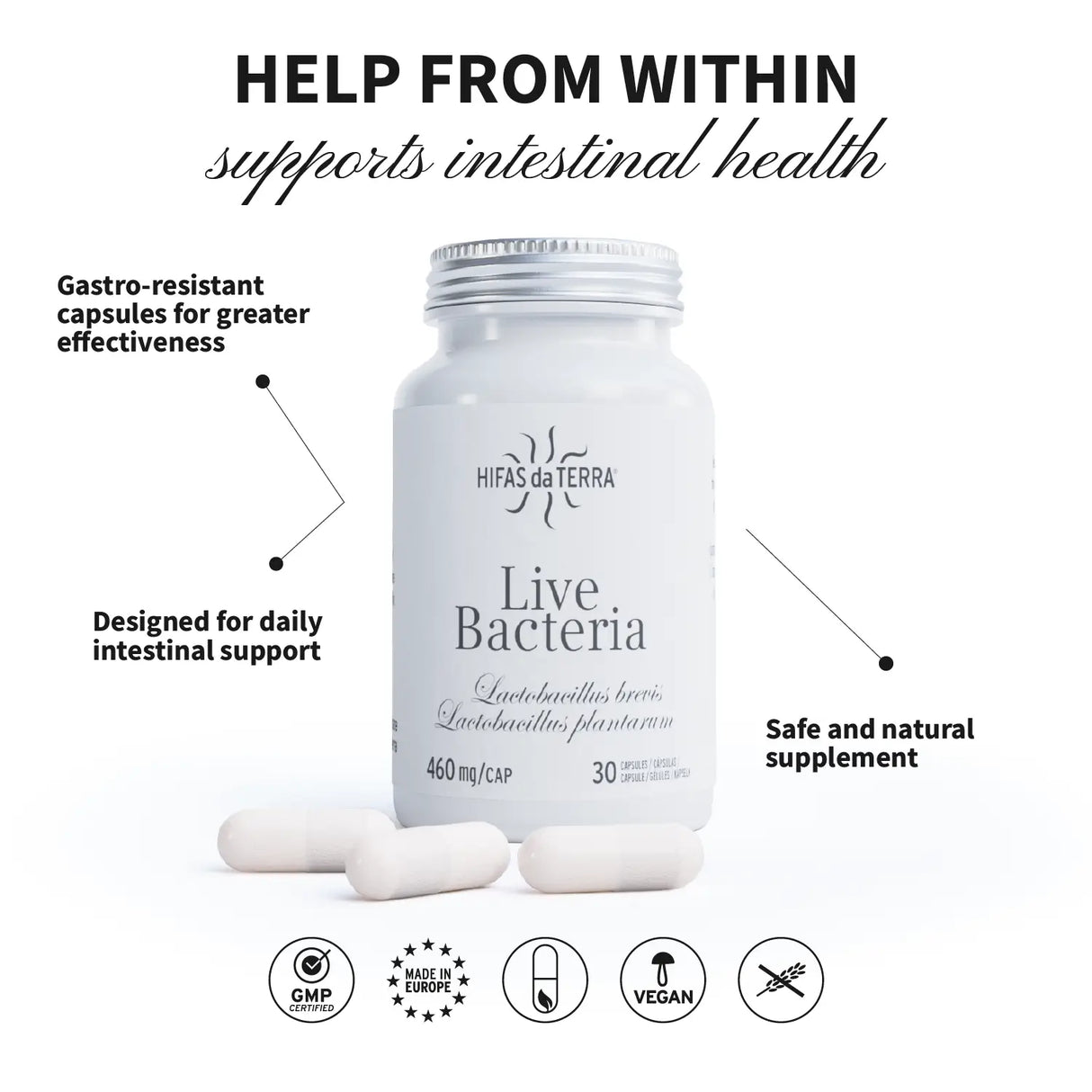 Live Bacteria - Probiotiques en gélules