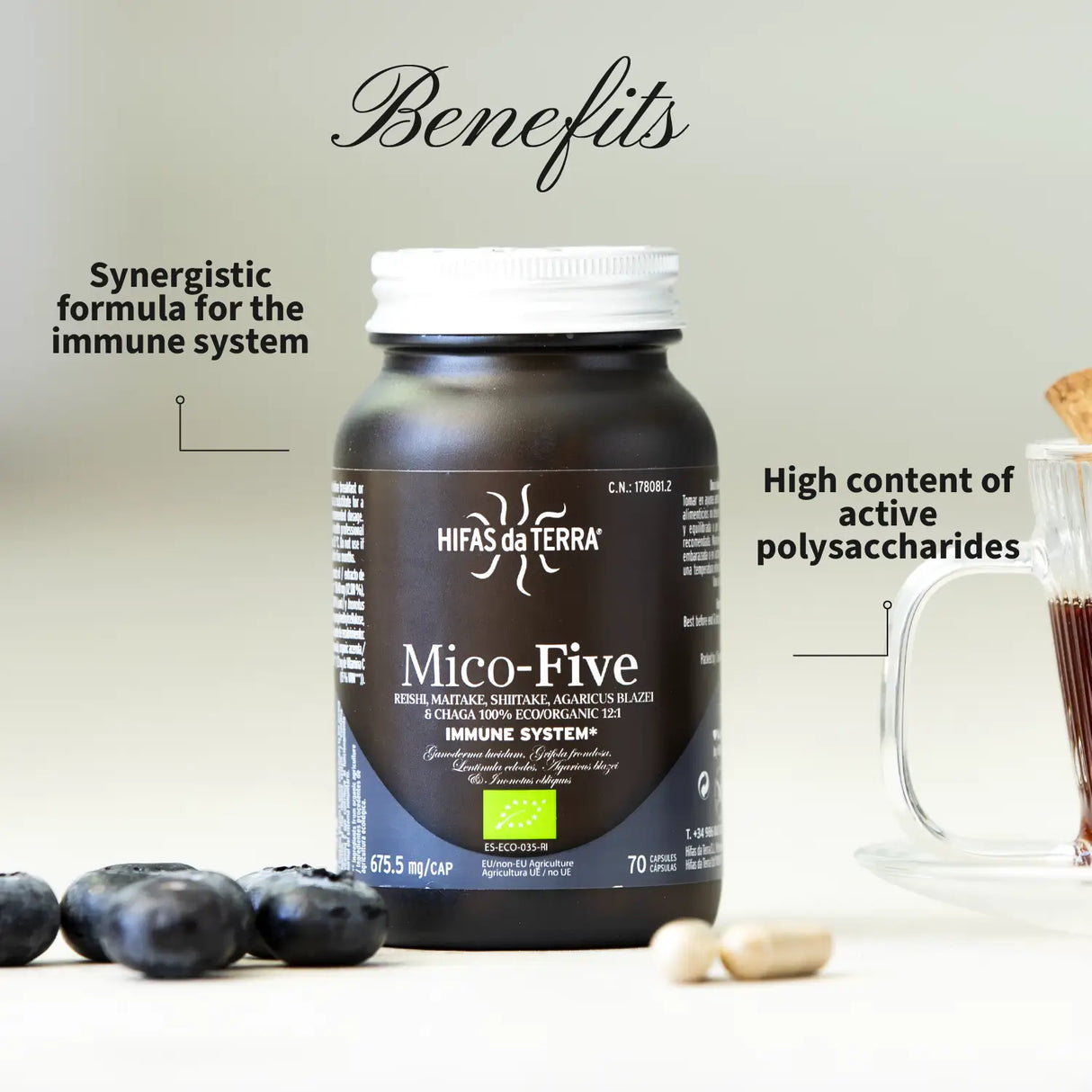 Mico-Five  - Extraits purs de Reishi, Shiitake, Maitake, Champignon du Soleil et Chaga