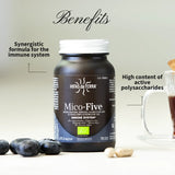 Mico-Five  - Extraits purs de Reishi, Shiitake, Maitake, Champignon du Soleil et Chaga