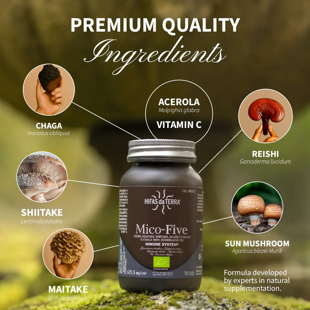 Mico-Five  - Extraits purs de Reishi, Shiitake, Maitake, Champignon du Soleil et Chaga
