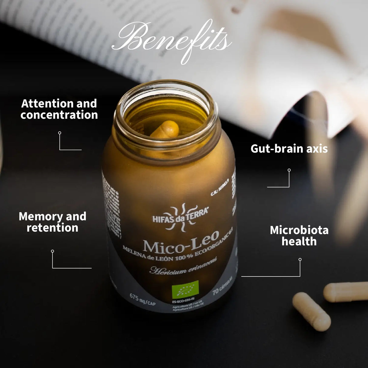 Mico-Leo - Extrait pur & bio de Crinière de Lion