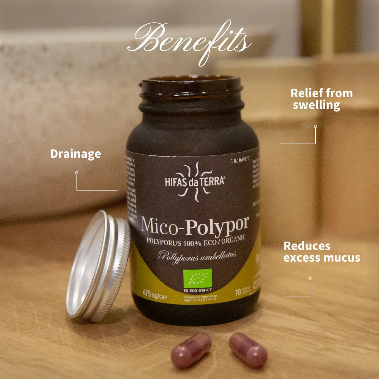 Mico-Polypor - Extrait pur & bio de Polyporus